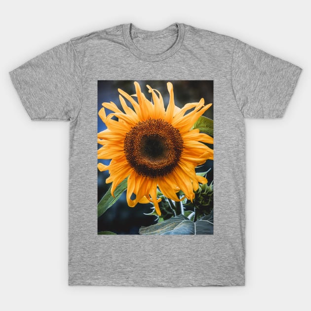 Sunday Sunflower Photograph T-Shirt by love-fi